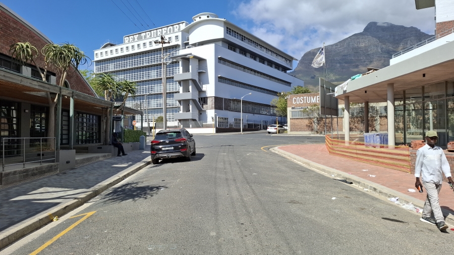 To Let commercial Property for Rent in Salt River Western Cape